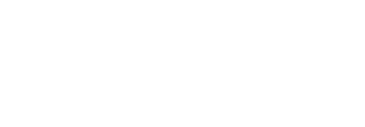 BlockSeclogo