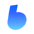 Bixin logo
