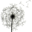 stake.zone logo