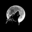 StakeWolf logo