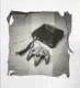 Adventures in Polaroids logo