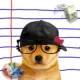 INU #380 logo