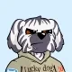 BoDoggos #4244 logo