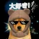 INU #875 logo