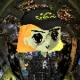 Retardio Pixels #74 logo