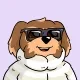 BoDoggos #715 logo