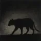 The Night Belongs to the Hunter logo