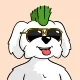 BoDoggos #2452 logo