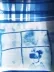 Cyanotypes logo