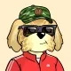 BoDoggos #590 logo