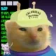 Glorp #911 logo