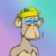 Bored Ape Solana Club #2565 logo