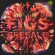 -- logo
