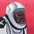 Apes On Space logo