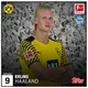 Erling Haaland DOR Base White S1-02 Common logo