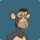 Bored Ape Yacht Club Shadow logo