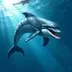 Dolphin Dynamo logo