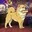 Bored Ape Kennel Club Shadow logo