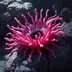 Anemone Enemy logo