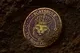 Cats Rule Relics logo