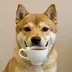 just a dog logo