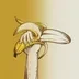 Nape Nana logo