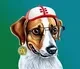 Cool Doge logo