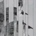 Concrete Cage logo