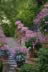 flowers logo