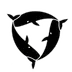 STW3 Collection logo