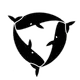 STW3 Collection logo
