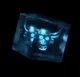 Tesseracts logo