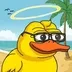 Ducky NFTs logo