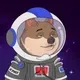 XPAY DOGE-MARS DYNASTY logo