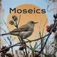 Moseics logo