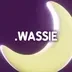 .wassie Domain Names logo