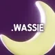 .wassie Domain Names logo
