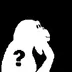 Collection NFT logo