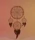 Totem Catcher collection logo