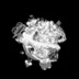 TEST Collection logo