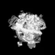 TEST Collection logo