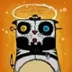 Voodoo Cat's logo