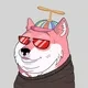 DogeChaser logo