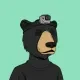 Okay Bear #3863 logo