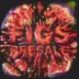 -- logo
