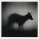 Graceful in the Gloom logo
