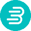 Bitnity Token logo