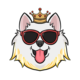 -- logo
