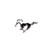 CAY Token logo