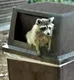TRASH•CAN•PANDA logo